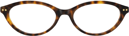 Glasses Frame