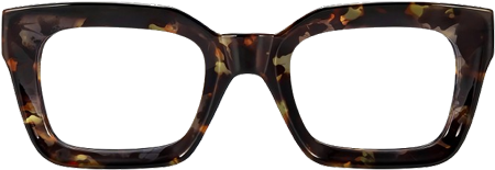 Glasses Frame