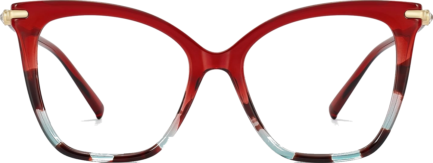 Glasses Frame